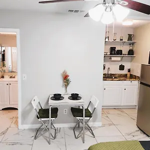 Adorable Mini In Tampa